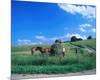 Haymaking near Trakai, Lithuania, Baltic States-null-Mounted Art Print