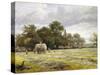 Haymaking-Benjamin Williams Leader-Stretched Canvas