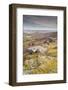 Hayne Down in Dartmoor National Park, Devon, England, United Kingdom, Europe-Julian Elliott-Framed Photographic Print