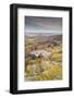 Hayne Down in Dartmoor National Park, Devon, England, United Kingdom, Europe-Julian Elliott-Framed Photographic Print