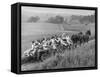 Hayride for Mansfield, Ohio, Senior High School Graduating Class-Alfred Eisenstaedt-Framed Stretched Canvas