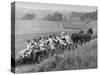 Hayride for Mansfield, Ohio, Senior High School Graduating Class-Alfred Eisenstaedt-Stretched Canvas