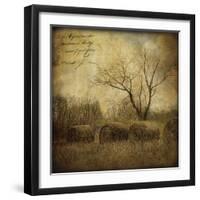 Hayrollers-Dawne Polis-Framed Art Print