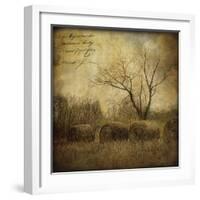 Hayrollers-Dawne Polis-Framed Art Print