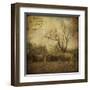 Hayrollers-Dawne Polis-Framed Art Print