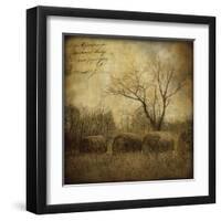 Hayrollers-Dawne Polis-Framed Art Print