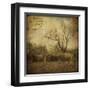 Hayrollers-Dawne Polis-Framed Art Print