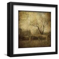 Hayrollers-Dawne Polis-Framed Art Print