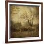 Hayrollers-Dawne Polis-Framed Art Print