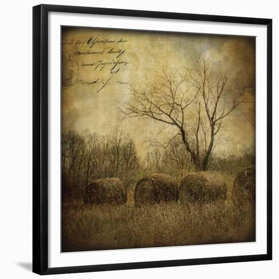 Hayrollers-Dawne Polis-Framed Giclee Print