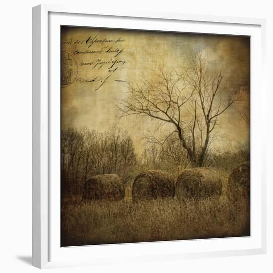 Hayrollers-Dawne Polis-Framed Giclee Print