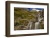 Haystack Creek in Glacier National Park, Montana, USA-Chuck Haney-Framed Photographic Print