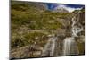Haystack Creek in Glacier National Park, Montana, USA-Chuck Haney-Mounted Photographic Print