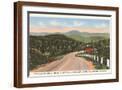 Brown Frame