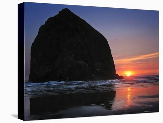 Haystack Rock and Birds-Jody Miller-Stretched Canvas