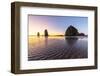 Haystack Rock and The Needles at sunset, with textured sand in the foreground-francesco vaninetti-Framed Photographic Print