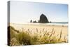 Haystack Rock and The Needles, with Gynerium spikes in the foreground, Cannon Beach-francesco vaninetti-Stretched Canvas