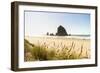 Haystack Rock and The Needles, with Gynerium spikes in the foreground, Cannon Beach-francesco vaninetti-Framed Photographic Print