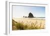 Haystack Rock and The Needles, with Gynerium spikes in the foreground, Cannon Beach-francesco vaninetti-Framed Photographic Print