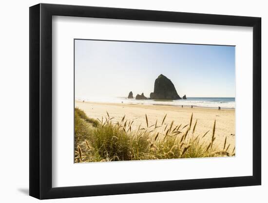 Haystack Rock and The Needles, with Gynerium spikes in the foreground, Cannon Beach-francesco vaninetti-Framed Photographic Print