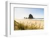 Haystack Rock and The Needles, with Gynerium spikes in the foreground, Cannon Beach-francesco vaninetti-Framed Photographic Print