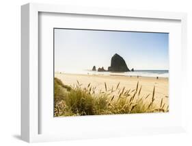 Haystack Rock and The Needles, with Gynerium spikes in the foreground, Cannon Beach-francesco vaninetti-Framed Photographic Print