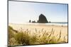 Haystack Rock and The Needles, with Gynerium spikes in the foreground, Cannon Beach-francesco vaninetti-Mounted Photographic Print