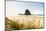 Haystack Rock and The Needles, with Gynerium spikes in the foreground, Cannon Beach-francesco vaninetti-Mounted Photographic Print