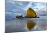 Haystack Rock at Dawn, Cannon Beach, Oregon, USA-Chuck Haney-Mounted Photographic Print