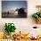 Haystack Rock at Sunset, Cannon Beach, Oregon, USA-Jamie & Judy Wild-Photographic Print displayed on a wall