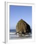 Haystack Rock, Cannon Beach, Oregon, United States of America, North America-DeFreitas Michael-Framed Photographic Print