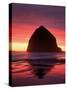 Haystack Rock, Cannon Beach, Oregon, USA-Adam Jones-Stretched Canvas