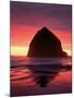 Haystack Rock, Cannon Beach, Oregon, USA-Adam Jones-Mounted Photographic Print