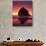 Haystack Rock, Cannon Beach, Oregon, USA-Adam Jones-Photographic Print displayed on a wall