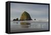 Haystack Rock on Cannon Beach, Oregon-Greg Probst-Framed Stretched Canvas
