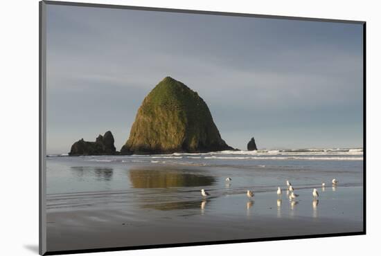 Haystack Rock on Cannon Beach, Oregon-Greg Probst-Mounted Photographic Print