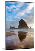 Haystack Rock reflected on the shoreline at Cannon Beach on the Pacific Northwest coast, Oregon, Un-Martin Child-Mounted Photographic Print