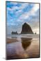 Haystack Rock reflected on the shoreline at Cannon Beach on the Pacific Northwest coast, Oregon, Un-Martin Child-Mounted Photographic Print