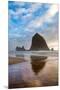 Haystack Rock reflected on the shoreline at Cannon Beach on the Pacific Northwest coast, Oregon, Un-Martin Child-Mounted Premium Photographic Print