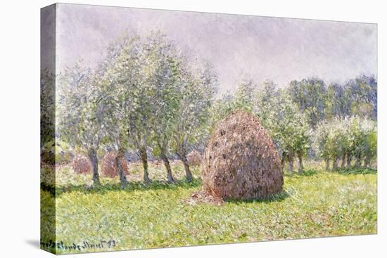 Haystack-Claude Monet-Stretched Canvas