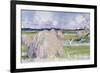 Haystacks at Iona-Francis Campbell Boileau Cadell-Framed Giclee Print