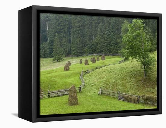 Haystacks, Bucovina, Romania-Russell Young-Framed Stretched Canvas