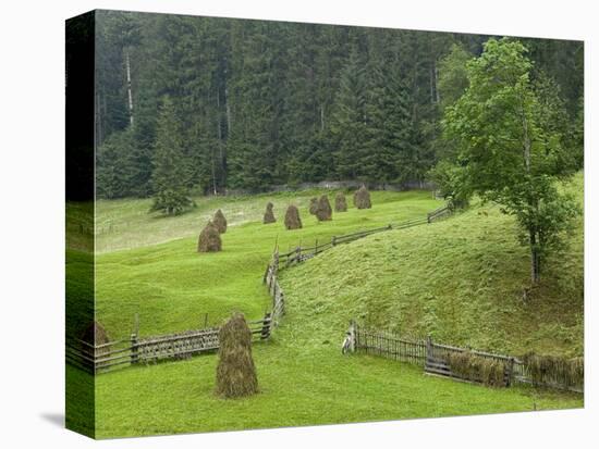 Haystacks, Bucovina, Romania-Russell Young-Stretched Canvas