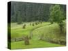 Haystacks, Bucovina, Romania-Russell Young-Stretched Canvas