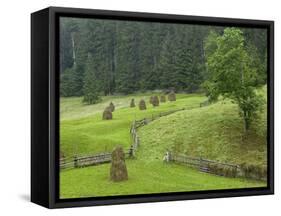 Haystacks, Bucovina, Romania-Russell Young-Framed Stretched Canvas