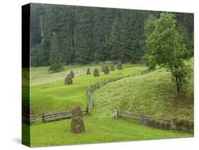 Haystacks, Bucovina, Romania-Russell Young-Stretched Canvas