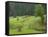 Haystacks, Bucovina, Romania-Russell Young-Framed Stretched Canvas