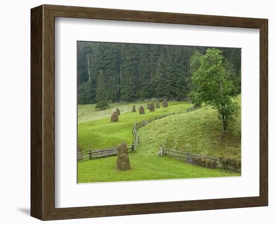 Haystacks, Bucovina, Romania-Russell Young-Framed Photographic Print