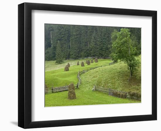 Haystacks, Bucovina, Romania-Russell Young-Framed Photographic Print