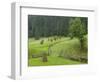 Haystacks, Bucovina, Romania-Russell Young-Framed Photographic Print